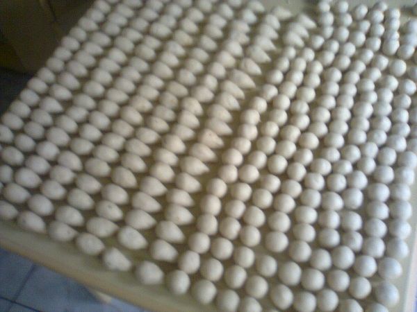 mini salgados congelados sortidos