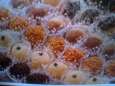 docinho sortidos